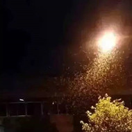 白蟻危害大，4-6月份進(jìn)入其活躍期 防治白蟻不容忽視！